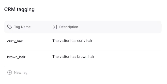Personal Shopper CRM tagging: a list of tag names with natural-language descriptions telling the AI when to apply each one